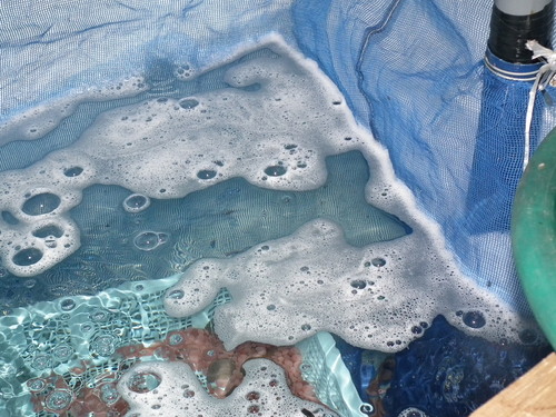 c0185132_11574024.jpg