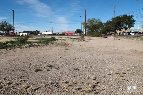 218 Tucson ~Lesser Goldfinchのナイスショット~_c0211532_2191081.jpg