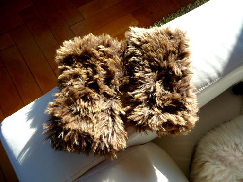 c0201334_10582784.jpg