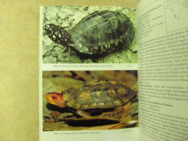 New Floating Land & Books!_b0174337_13322529.jpg
