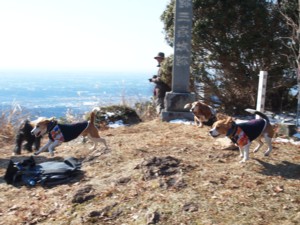 c0119142_72577.jpg