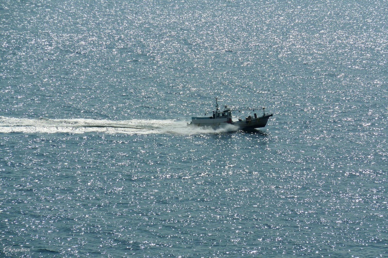 c0124055_17154479.jpg