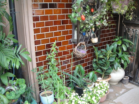 c0108460_20342290.jpg