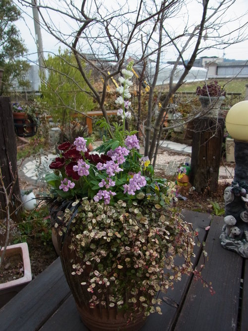 b0194267_20272894.jpg