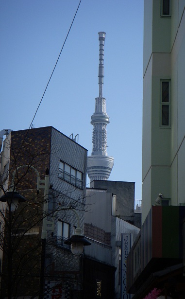 b0111970_1671576.jpg