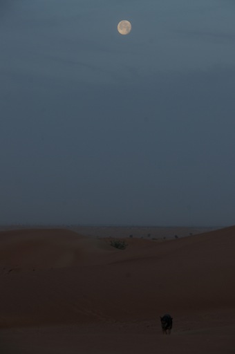 e0066474_2494175.jpg