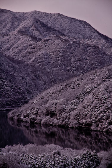 f0136878_2035443.jpg