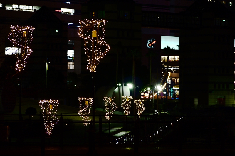 a0127090_226469.jpg