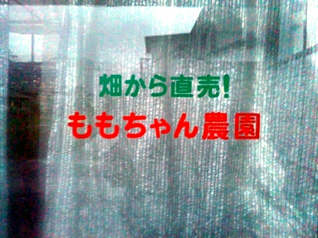 c0119891_0392650.jpg