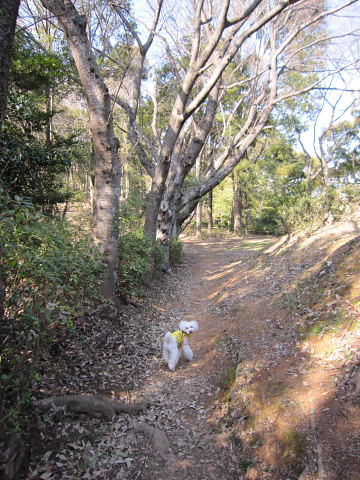 b0104592_15291036.jpg