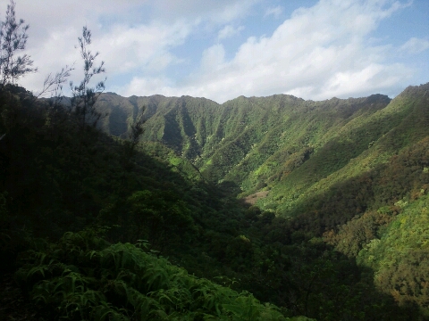 d0051707_17424970.jpg