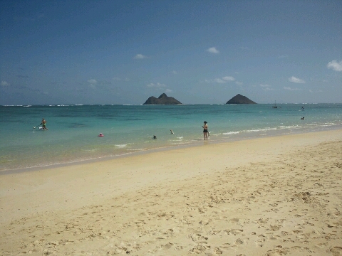 d0051707_17544153.jpg