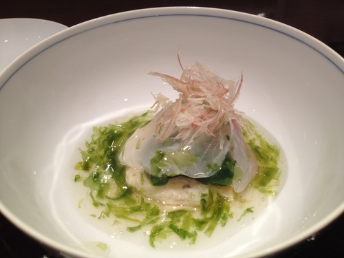 如月の弧柳(2012)_a0194908_105264.jpg