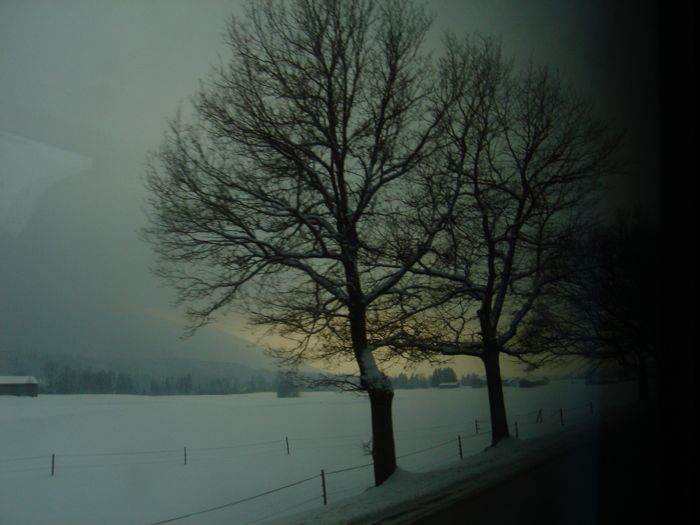 c0167813_6491867.jpg