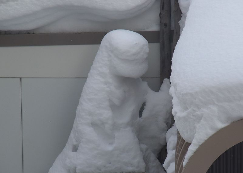 我が家にも雪像出現_c0025115_22222413.jpg
