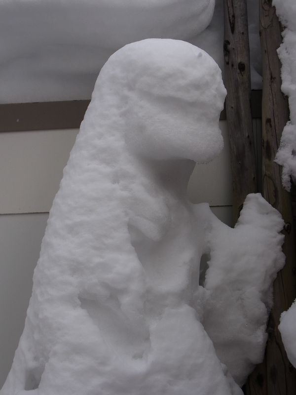 我が家にも雪像出現_c0025115_22222721.jpg