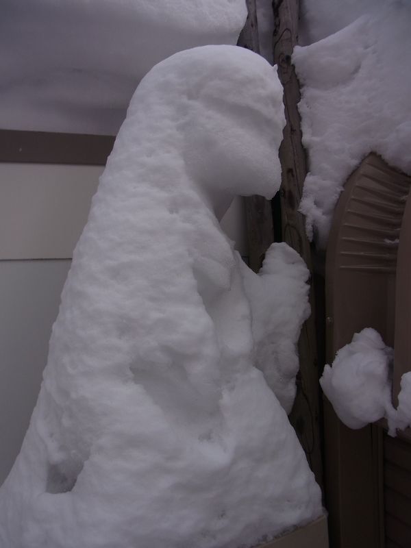 我が家にも雪像出現_c0025115_22223265.jpg