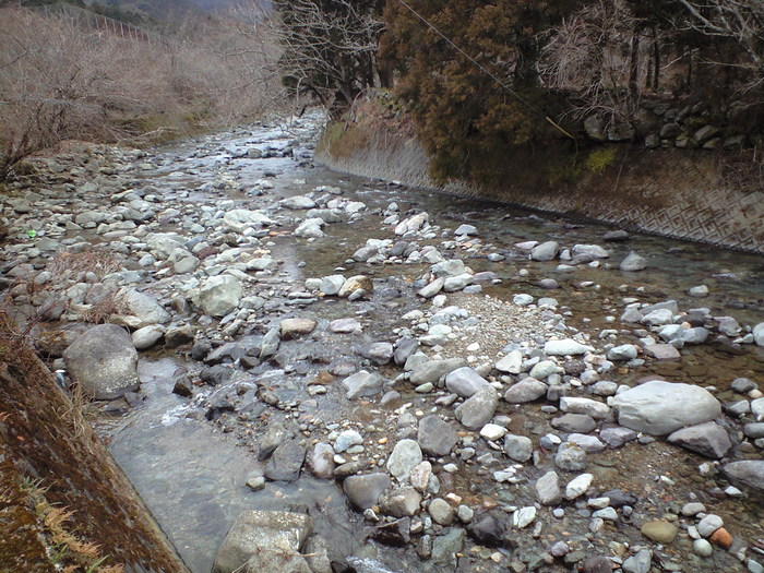 解禁前、河津川散策と年券_d0168318_1725348.jpg