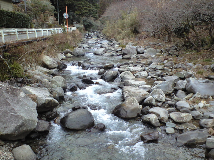 解禁前、河津川散策と年券_d0168318_17261784.jpg