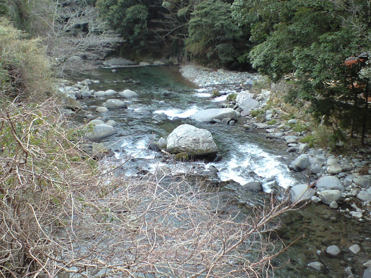 解禁前、河津川散策と年券_d0168318_1755044.jpg