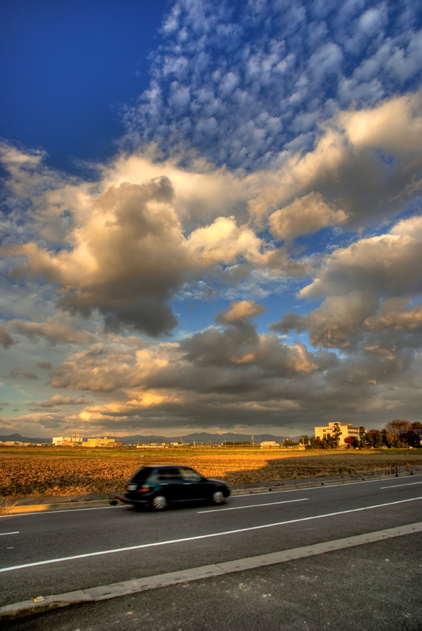 EVENING_c0195620_23335298.jpg