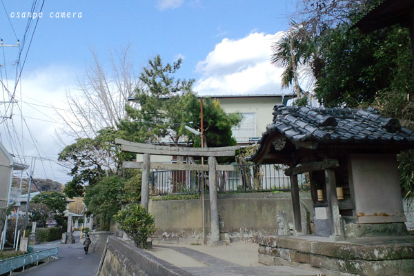 鎌倉猫寺探し　～なんでもない散歩道～_d0155821_23431458.jpg