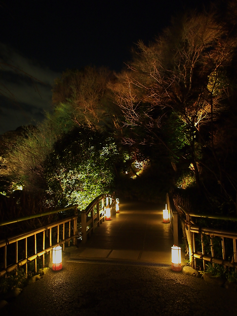 京都・花灯路ＩＮ椿山荘_b0169330_17471880.jpg