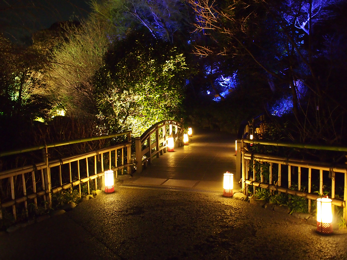 京都・花灯路ＩＮ椿山荘_b0169330_1810220.jpg