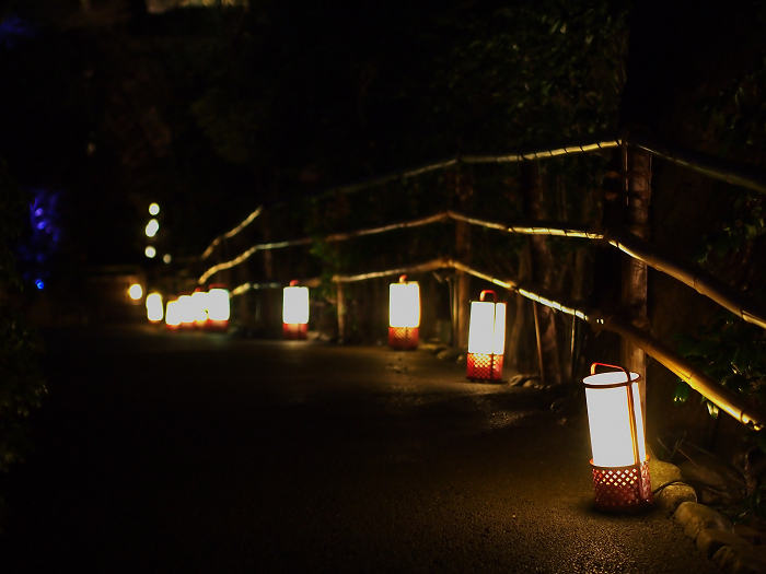 京都・花灯路ＩＮ椿山荘_b0169330_1891433.jpg