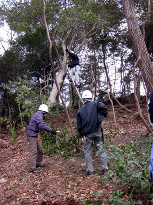 c0038434_19372675.jpg