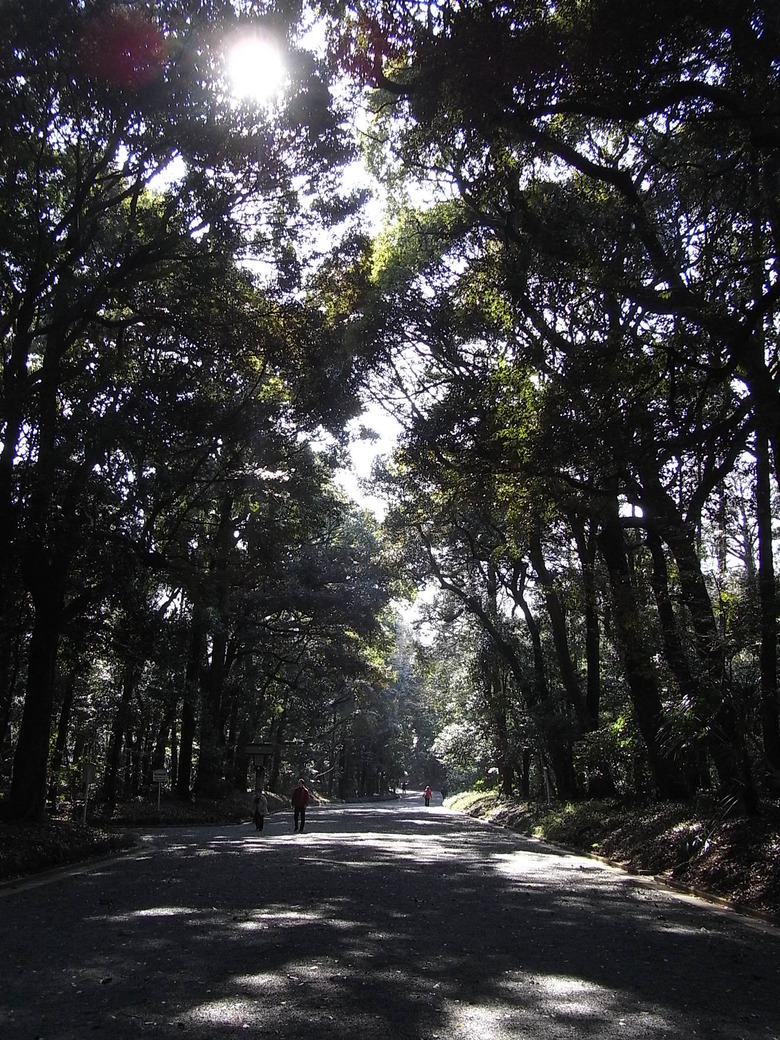 c0195134_116276.jpg