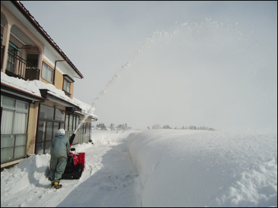 f0084138_01160.jpg