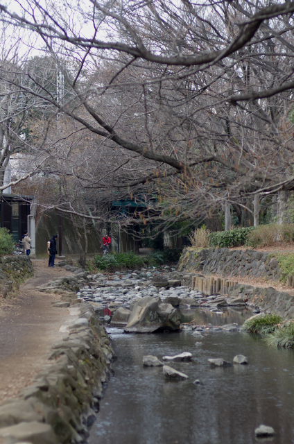 井の頭公園=2/5=_b0177347_209585.jpg
