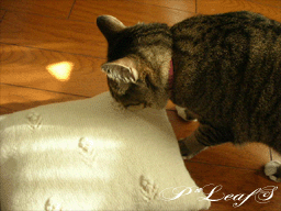 c0176651_1414342.gif