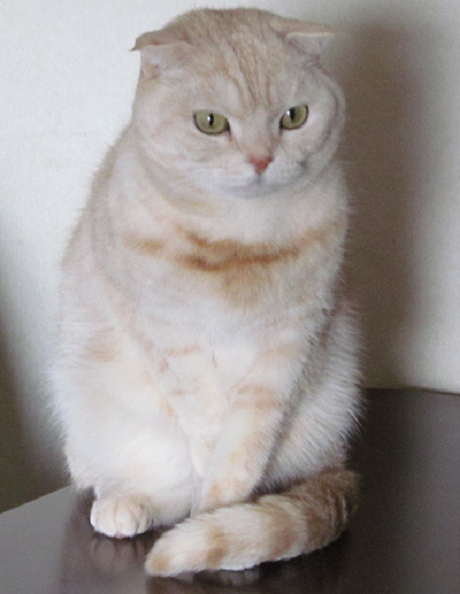d0085254_20583486.png
