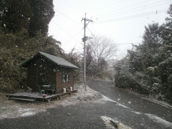 a0174458_0325438.jpg