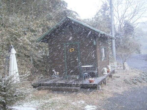 a0174458_0371816.jpg