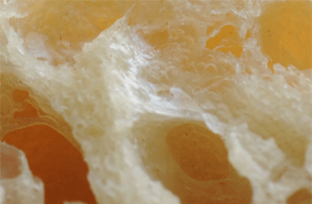 c0196673_11464017.gif