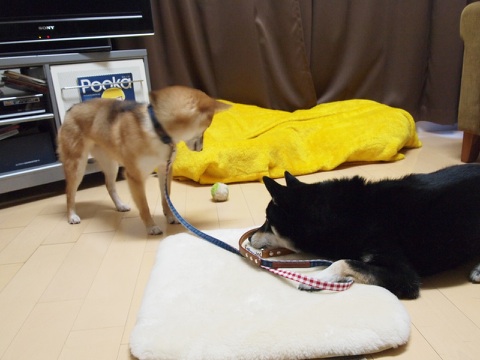 b0239176_123934100.jpg