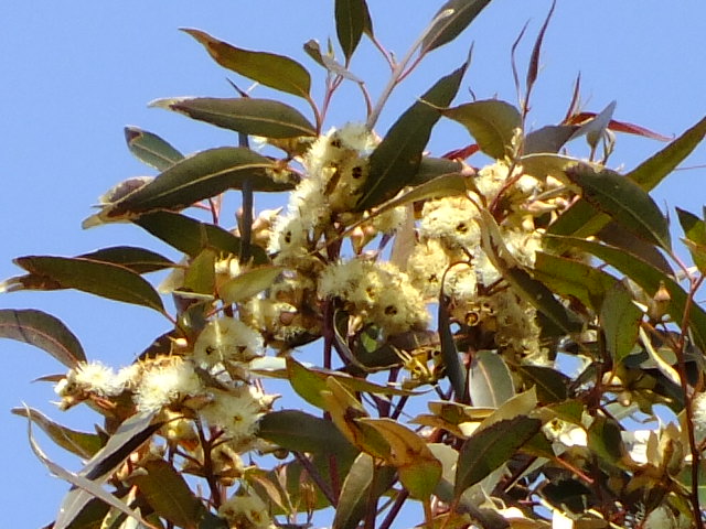 e0145782_2015510.jpg