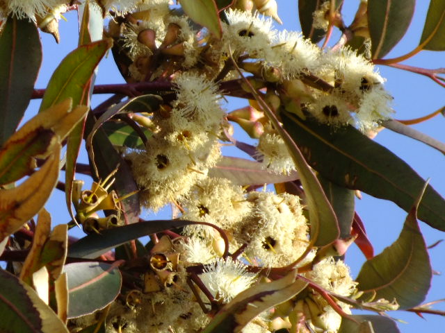 e0145782_2033712.jpg