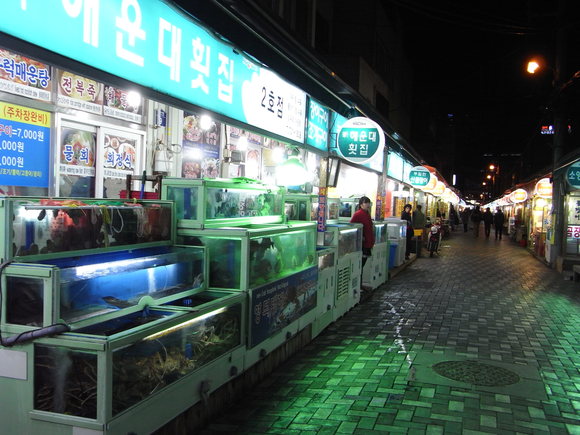 釜山・お魚の旅　（ヌタウナギ）　120102_c0237483_1853454.jpg