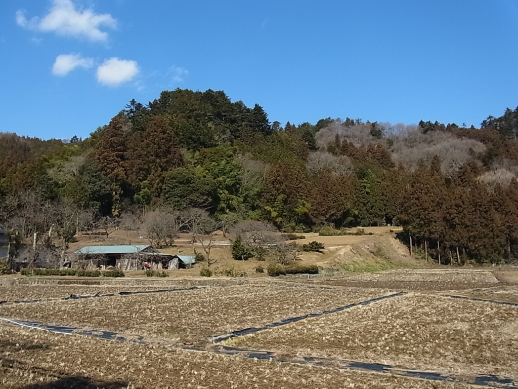e0107493_18551074.jpg