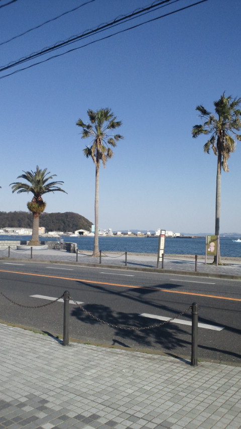 今日の久里浜海岸付近の絵_d0092901_2255667.jpg