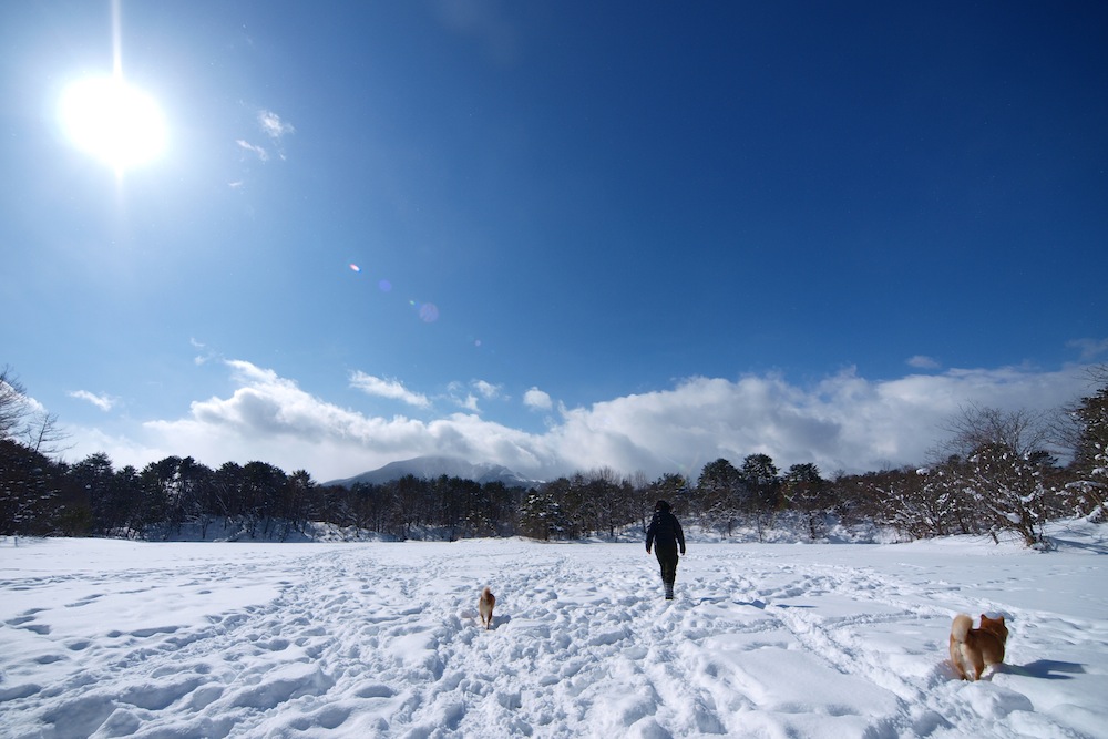 White and Blue_f0109601_22394853.jpg