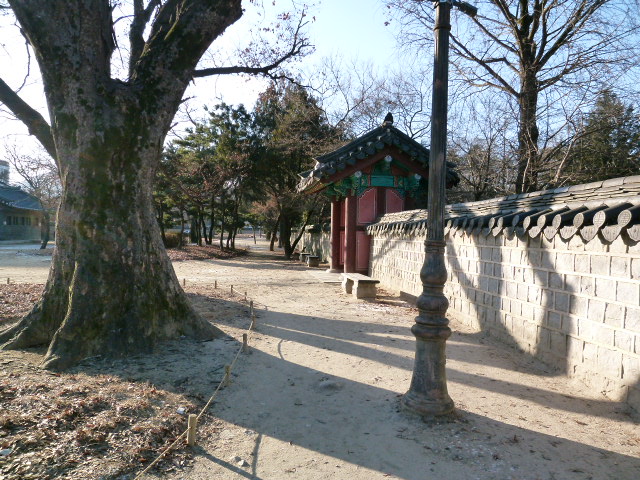 a0140305_17165641.jpg