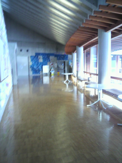 f0024708_20172288.jpg