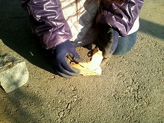 c0190010_2126289.jpg