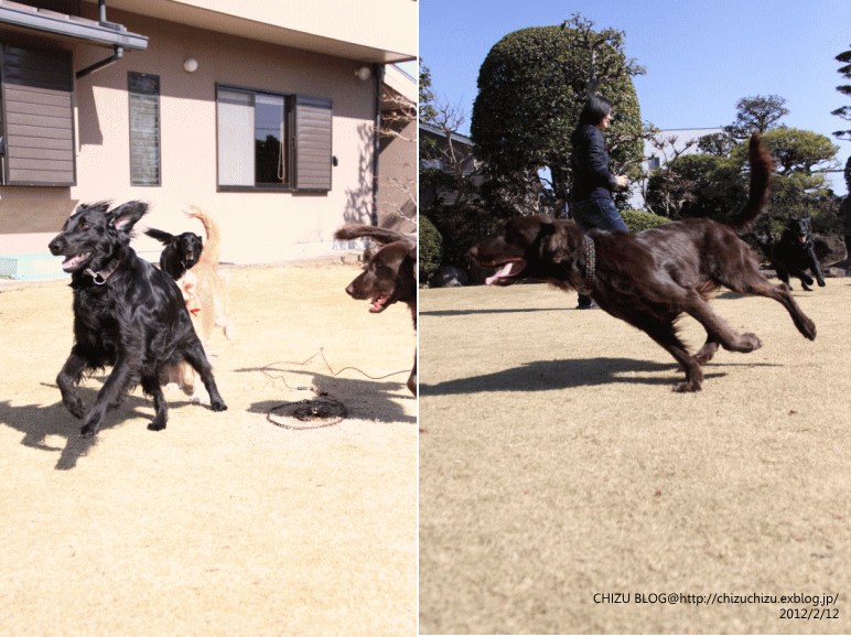 c0017311_21315532.gif