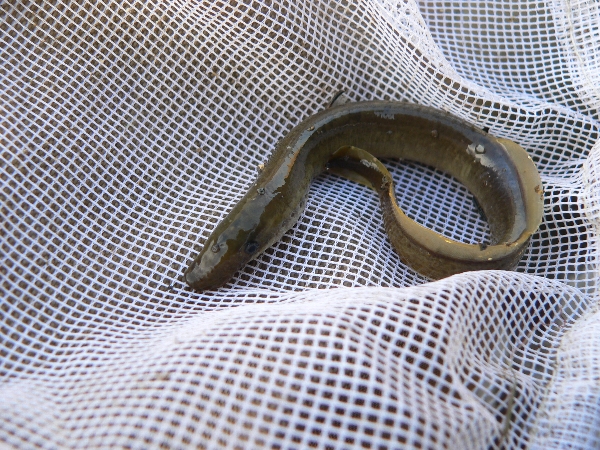 e0002314_20462851.jpg